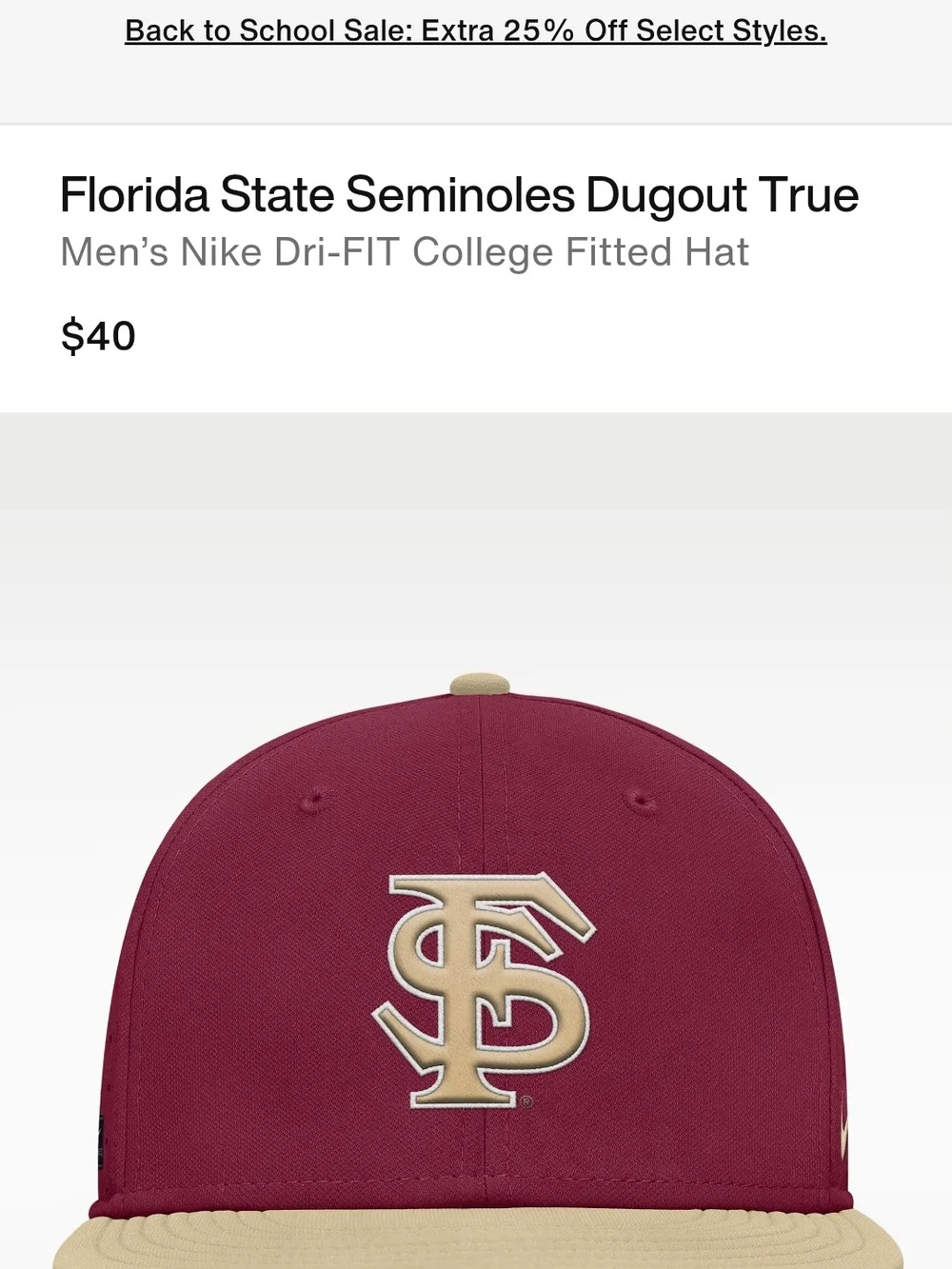 Nike Florida State Hat
